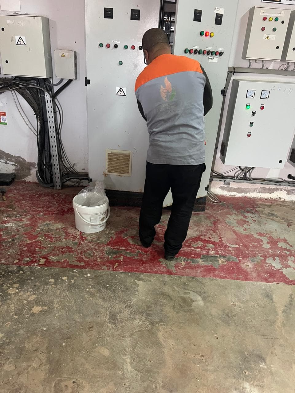 Intervention dératisation HSI