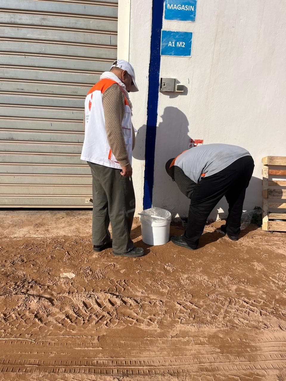 Intervention dératisation HSI