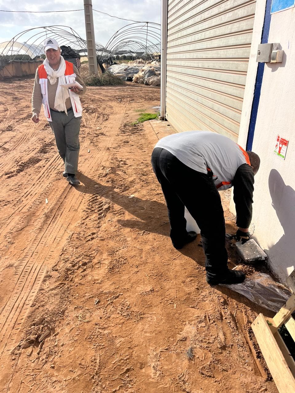 Intervention dératisation HSI